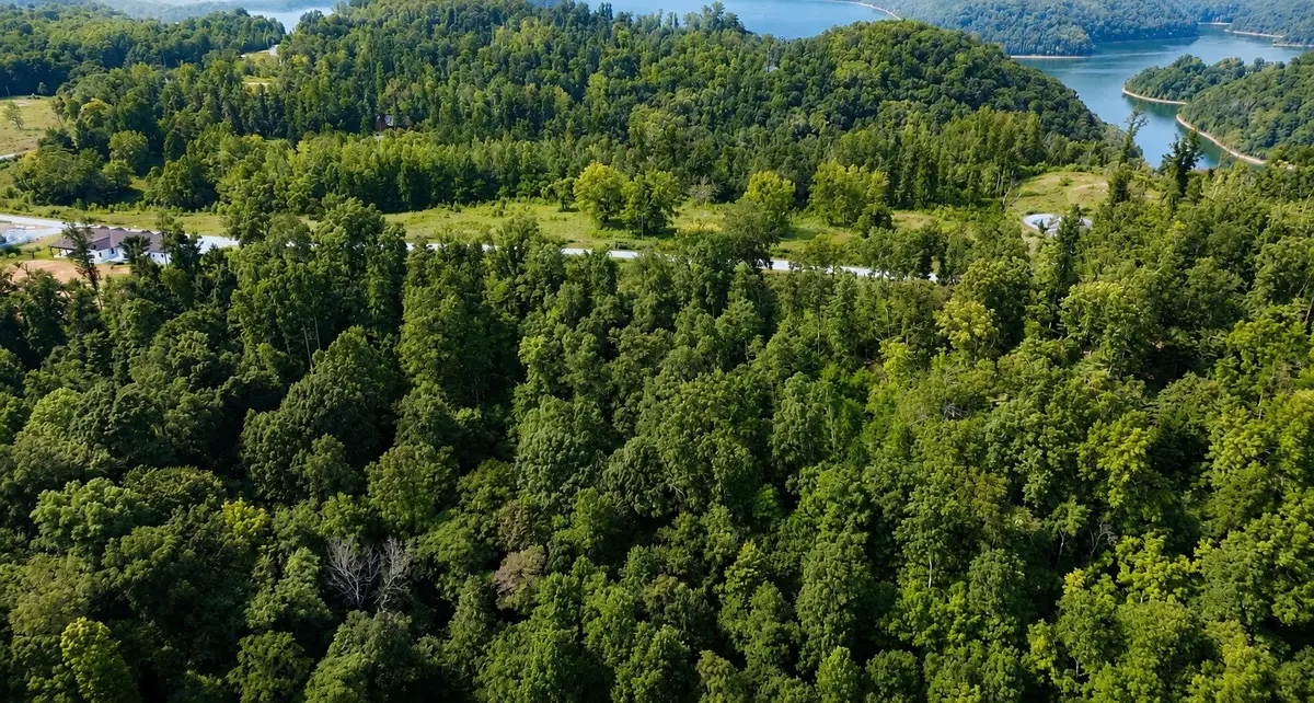 0 S Peninsula Edge Dr, Smithville, TN 37166 - #1