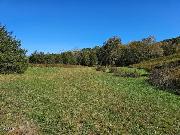 35 Shoreline Vista, Sharps Chapel, TN 37866