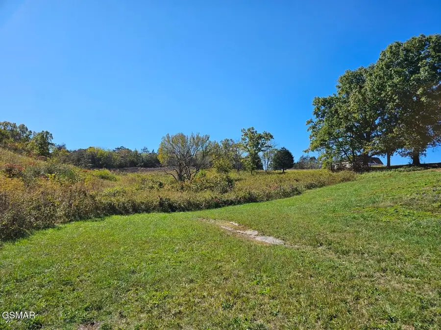 35 Shoreline Vista, Sharps Chapel, TN 37866 - #3
