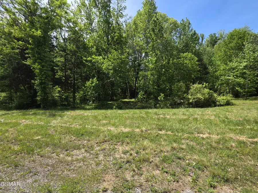 78 Harbor Ridge Lane, Dandridge, TN 37725 - #3