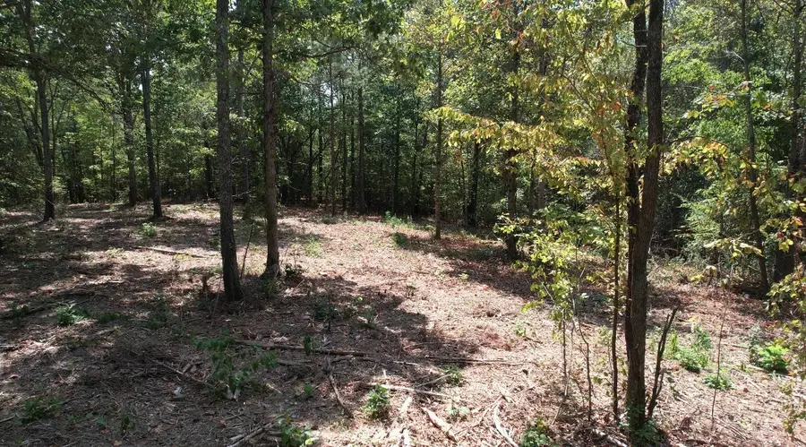 7011 Waynesboro Hwy, Lawrenceburg, TN 38464 - #2