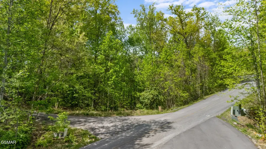 66 Redtail Road, Sevierville, TN 37862 - #2