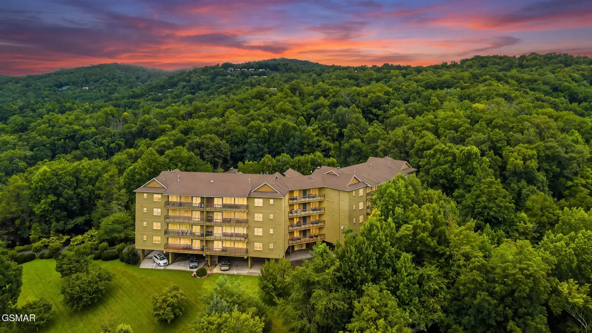 338 Pinnacle View Way #153, Gatlinburg, TN 37738 - #1