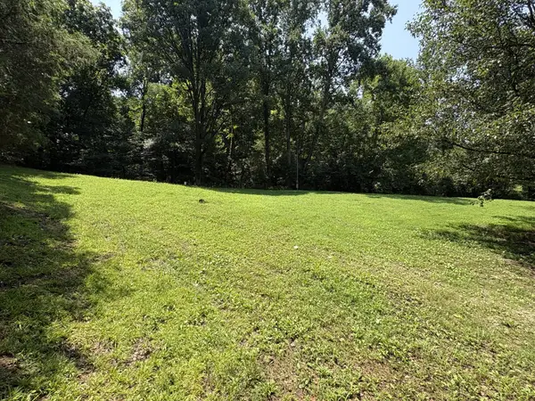 1991 Simmons Ridge Rd, Cornersville, TN 37047