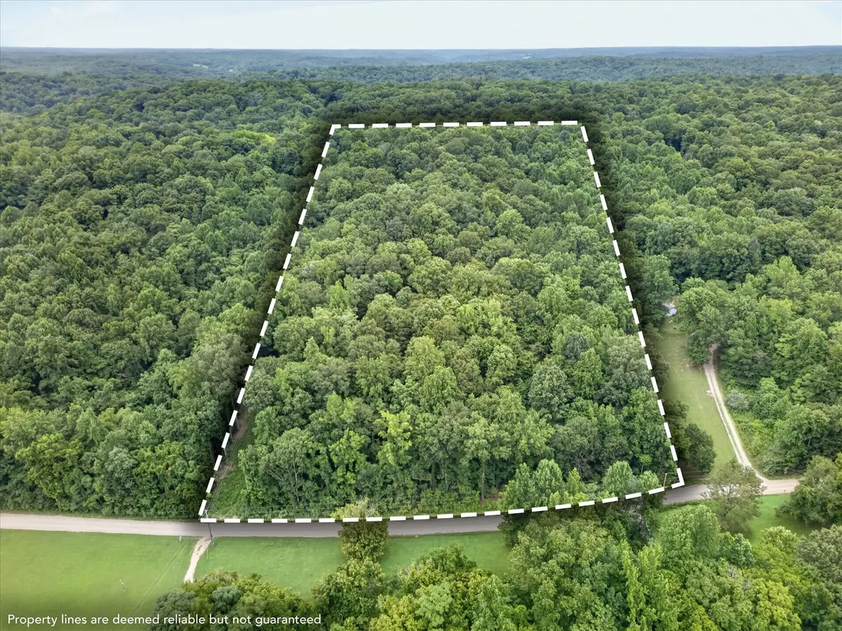 737 Lee Hollow Rd, Indian Mound, TN 37079 - #1
