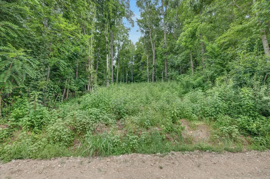 737 Lee Hollow Rd, Indian Mound, TN 37079 - #2