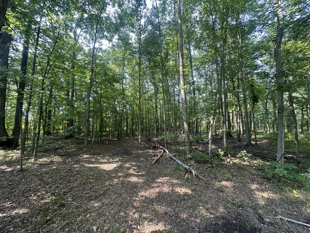 0 S Pinson Dr, White House, TN 37188 - #1
