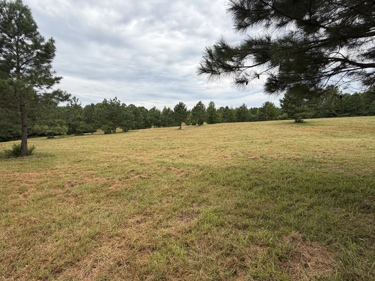 1310 Hwy 120, Big Rock, TN 37023 - #1