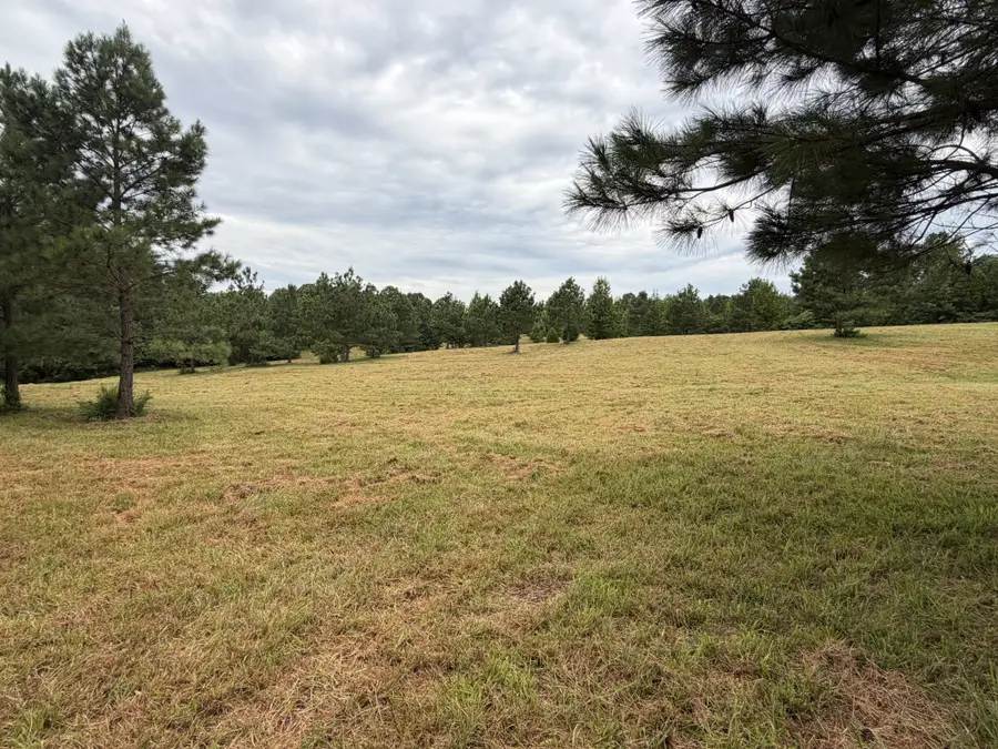 1310 Hwy 120, Big Rock, TN 37023 - #2