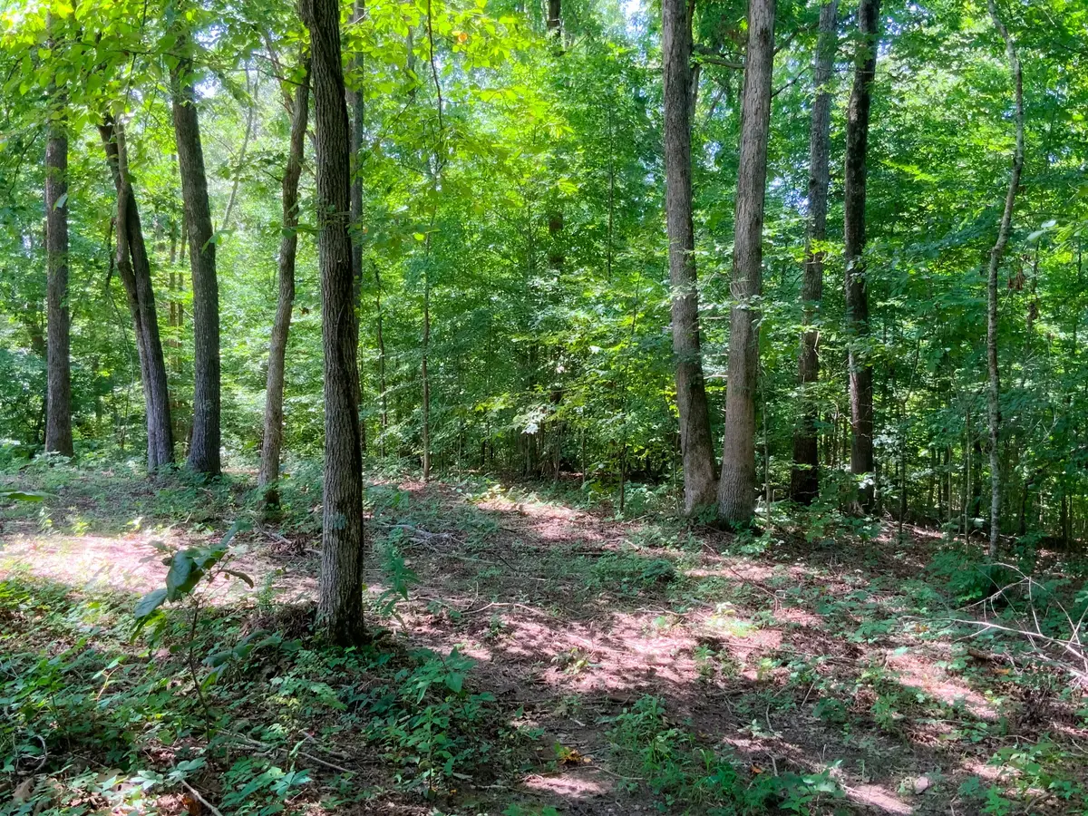 0 Deadwood Drive, Dover, TN 37058 - #1