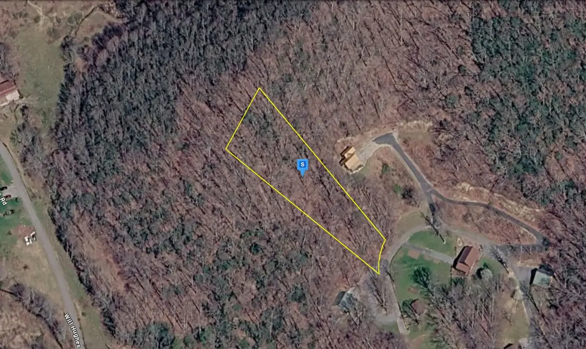 226 Black Bear Rdg, Roan Mountain, TN 37687 - #1