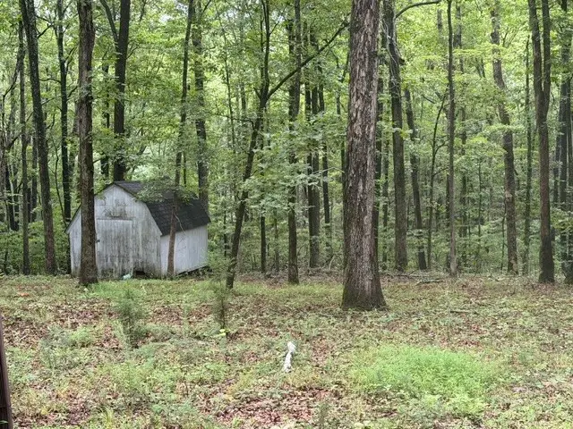 1 High Ridge Dr, Nunnelly, TN 37137 - #3