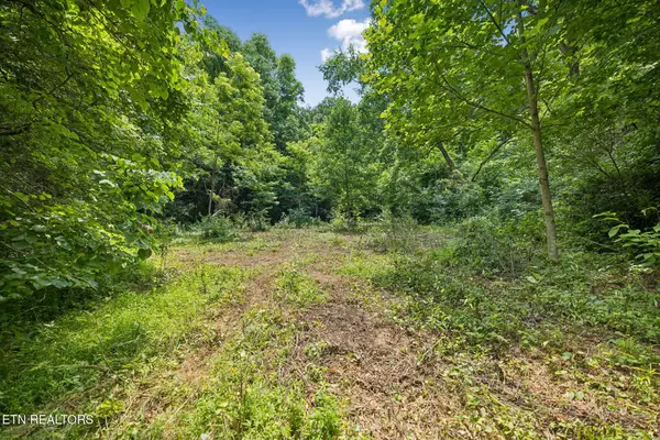 0 Knob Rd, Rutledge, TN 37861
