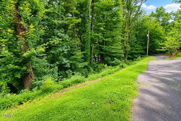 53 Hid View Street, Pigeon Forge, TN 37863