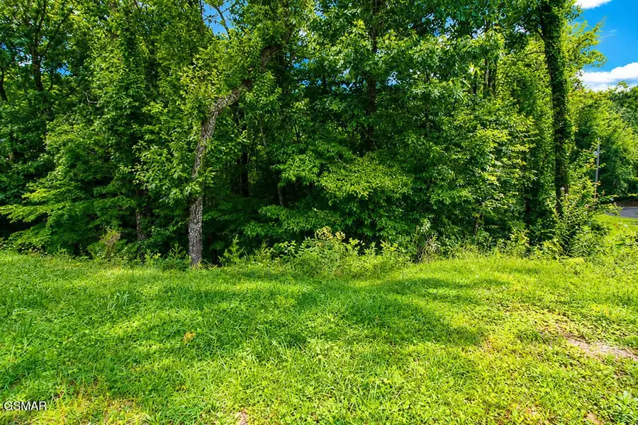 53 Hid View Street, Pigeon Forge, TN 37863 - #2