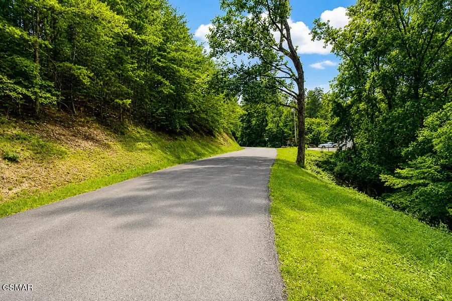 53 Hid View Street, Pigeon Forge, TN 37863 - #3