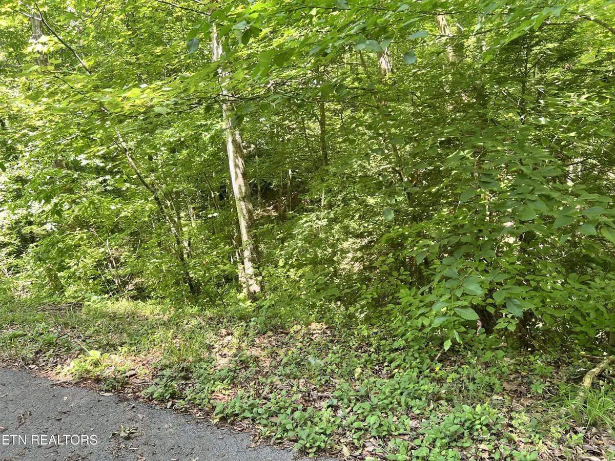 0 Fir Drive, Sevierville, TN 37876 - #1