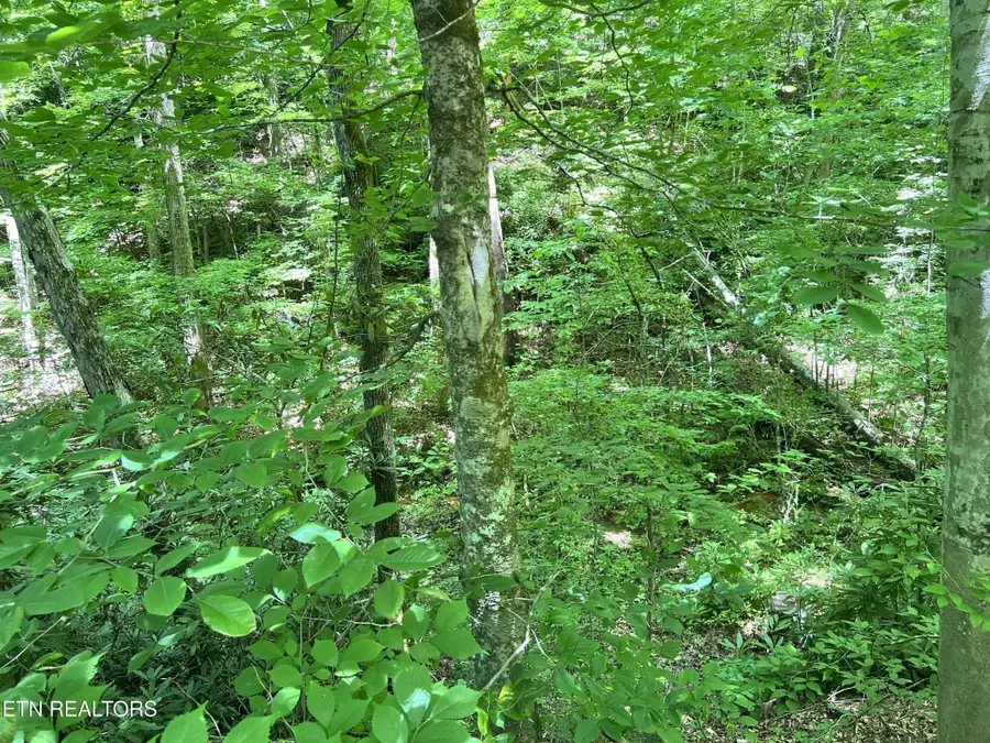 0 Fir Drive, Sevierville, TN 37876 - #2