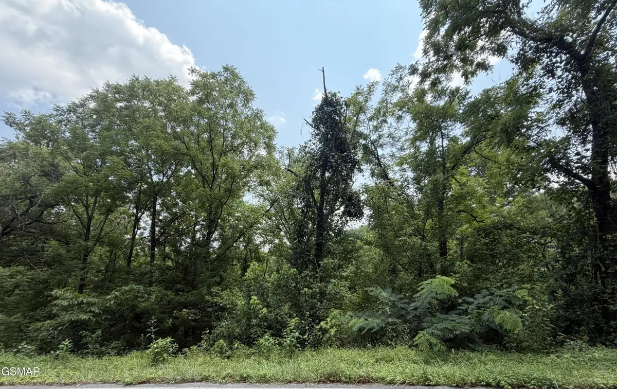 1059 Kellum Creek Road, Sevierville, TN 37876 - #1