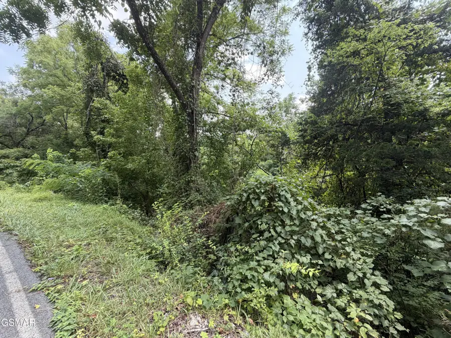 1059 Kellum Creek Road, Sevierville, TN 37876 - #2