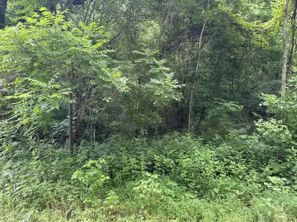 0 Denton Rd, Linden, TN 37096