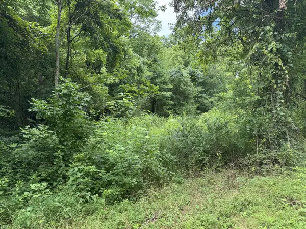 0 Denton Rd, Linden, TN 37096