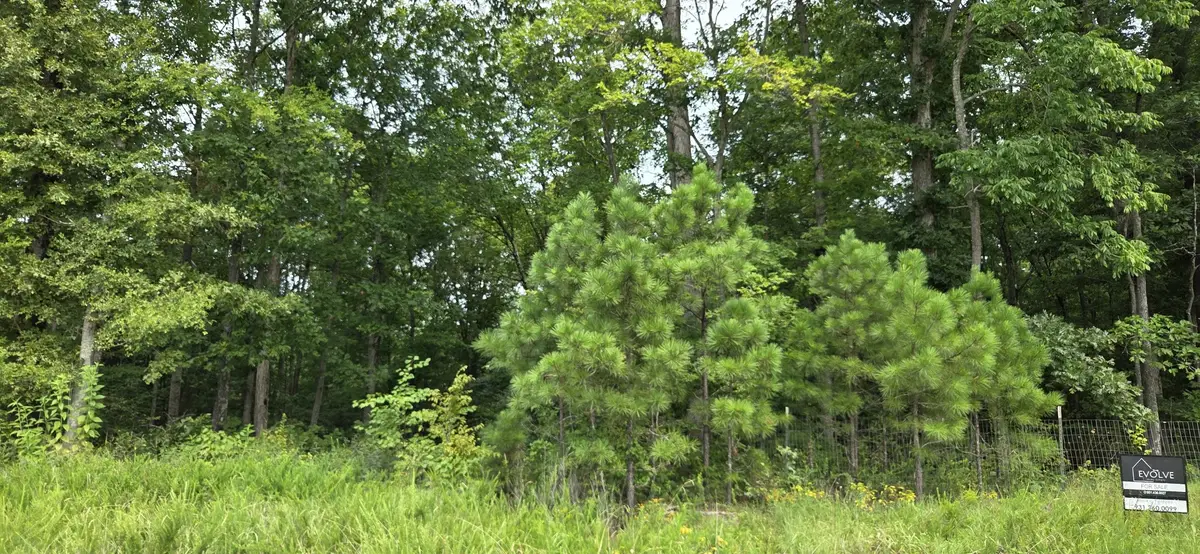 0 Mathis Cemetery Rd, Stewart, TN 37175 - #1
