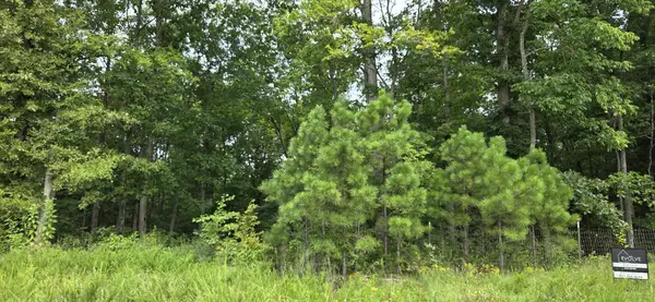 0 Mathis Cemetery Rd, Stewart, TN 37175