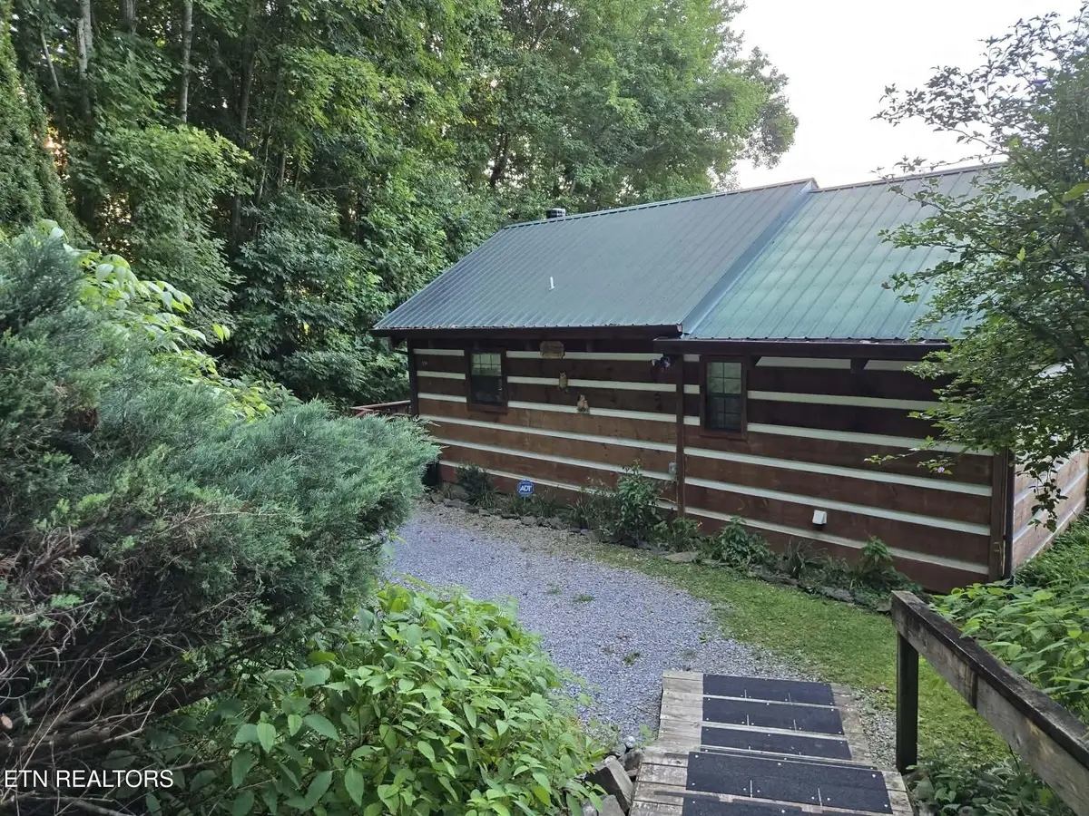 994 Emilyville Way, Cosby, TN 37722 - #1