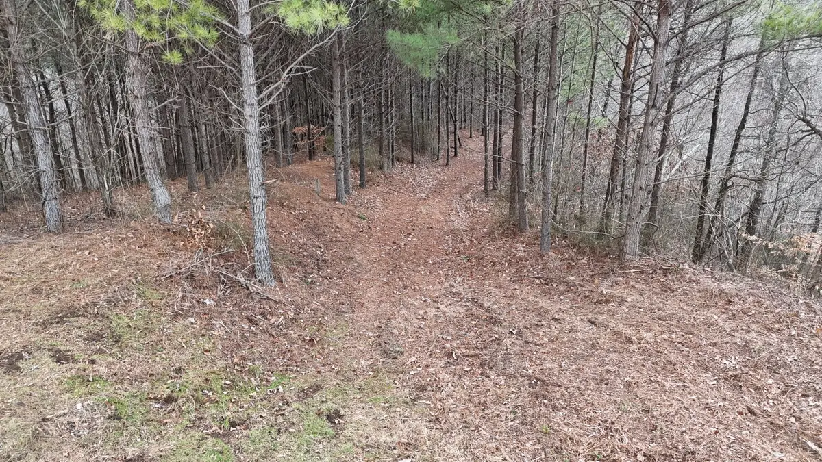 2932 Old Hohenwald Rd, Linden, TN 37096 - #1