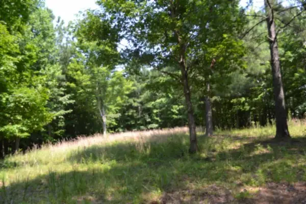 0 Topside Dr, Spencer, TN 38585