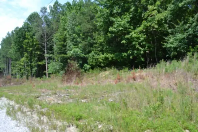 0 Topside Dr, Spencer, TN 38585 - #3