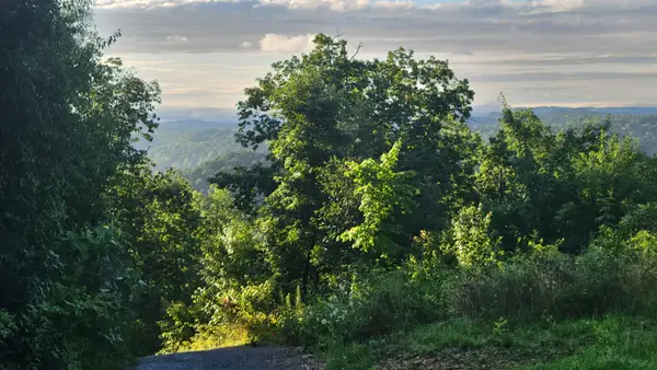 260 Riddle St, Dayton, TN 37321