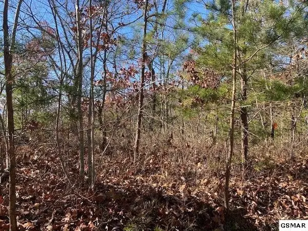 69 Poplar Place, Sevierville, TN 37876