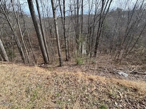 444 Sky View, Sevierville, TN 37876
