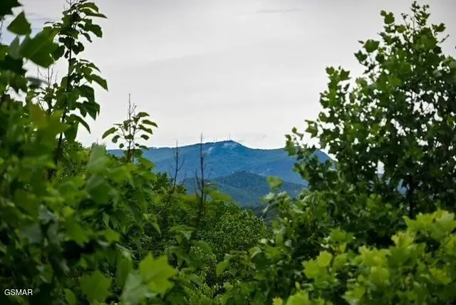 1816 N Dogwood Lane, Sevierville, TN 37876 - #3