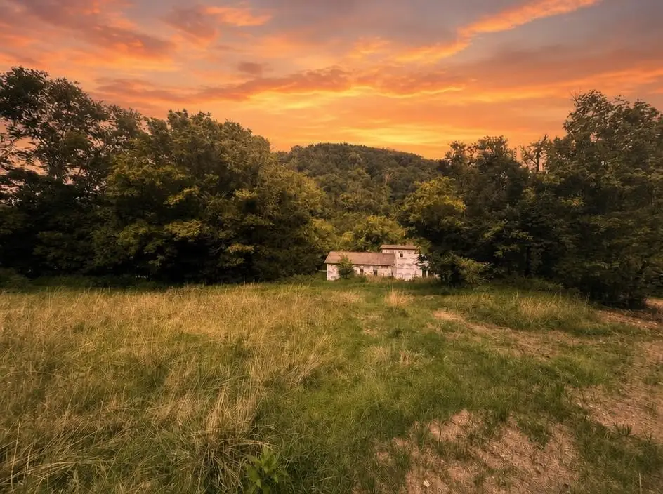 303 Little Creek Rd, Pleasant Shade, TN 37145 - #1