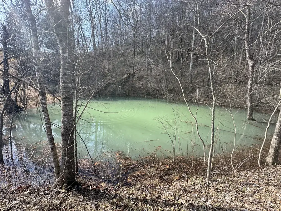 303 Little Creek Rd, Pleasant Shade, TN 37145 - #3