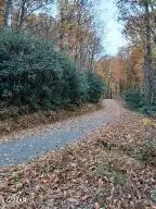 3 Rocky Ridge Road, Cosby, TN 37722