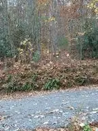 3 Rocky Ridge Road, Cosby, TN 37722 - #2