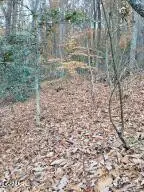 3 Rocky Ridge Road, Cosby, TN 37722 - #3