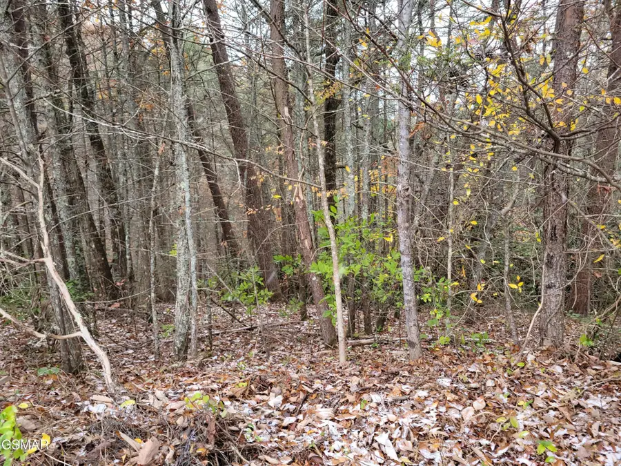 12 Ridge View Drive, Sevierville, TN 37876 - #3