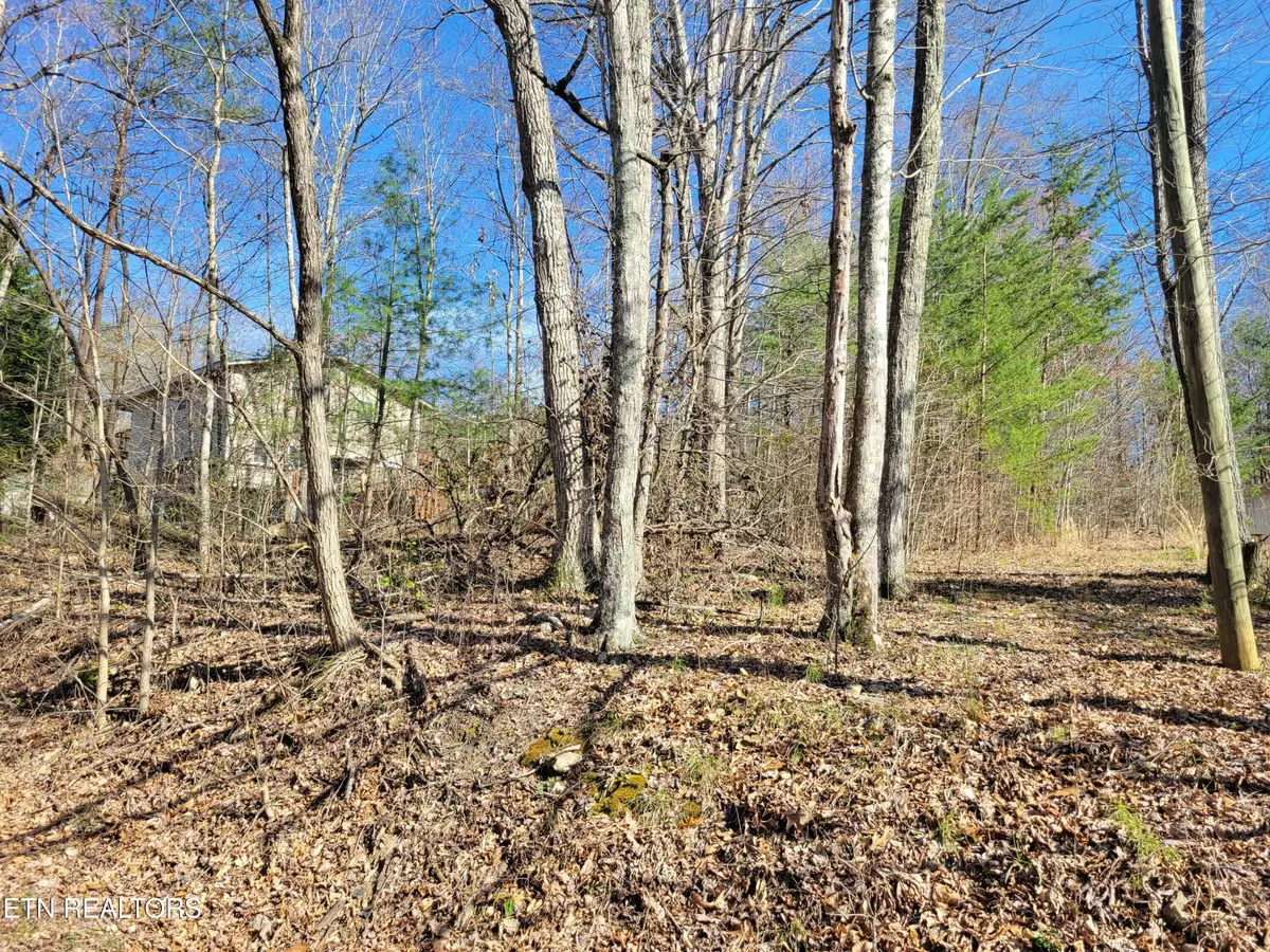 69 Alpine Drive, Sevierville, TN 37876 - #1