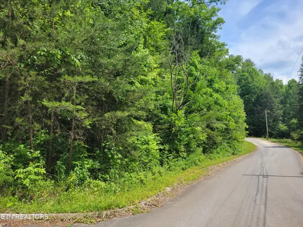 13 Peace Lane, Cosby, TN 37722