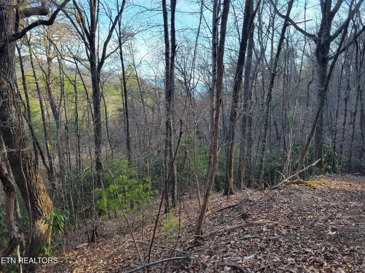 5 Swann Saddle, Sevierville, TN 37876 - #1