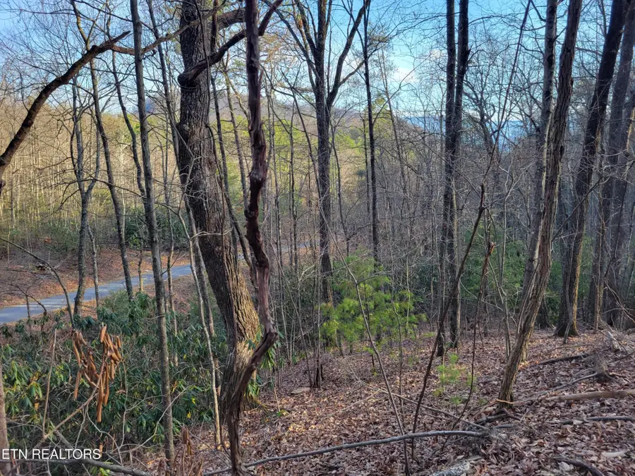 5 Swann Saddle, Sevierville, TN 37876 - #3