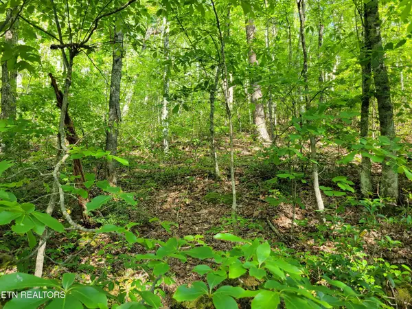 27 Black Oak Drive, Sevierville, TN 37876