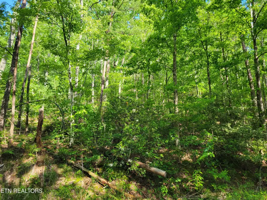 27 Black Oak Drive, Sevierville, TN 37876 - #2