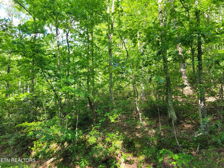 27 Black Oak Drive, Sevierville, TN 37876 - #3