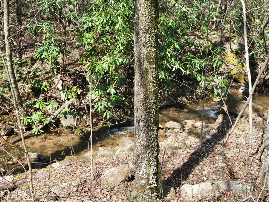 25 Alpine Drive, Sevierville, TN 37876 - #3